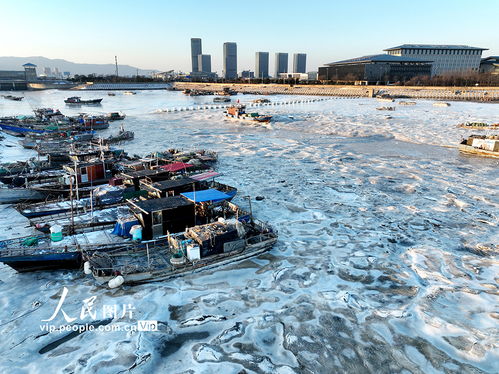 江蘇連云港強(qiáng)寒潮來襲，海岸現(xiàn)大面積冰凌奇觀